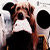 dogsday