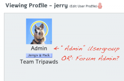 profile-admin.png